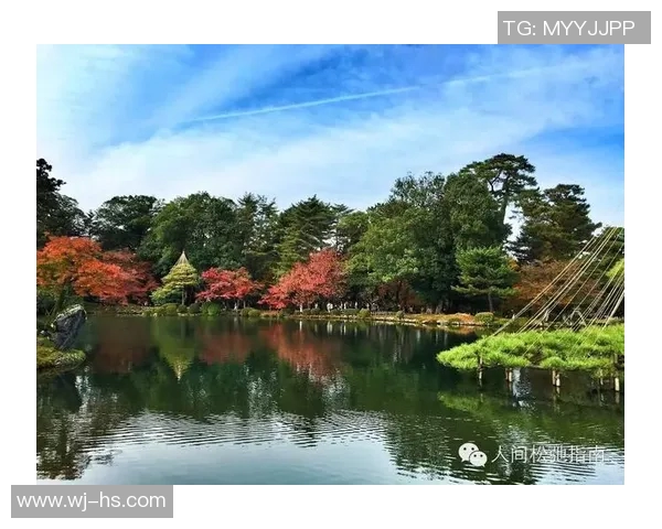 京都与金泽的精彩对决比分揭晓你知道是多少吗